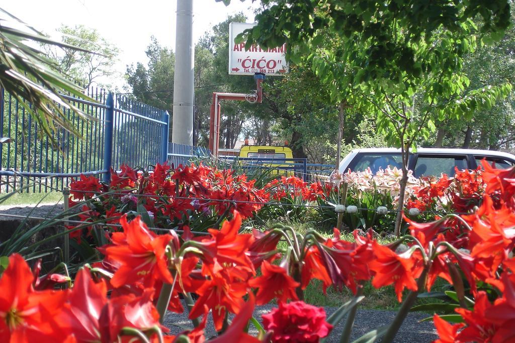 Apartments Cico Starigrad Paklenica Dış mekan fotoğraf